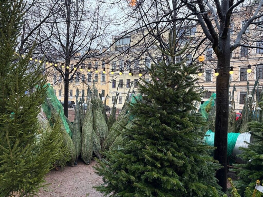     Фото: Neva.Today
📷    Фото: Neva.Today
📷    Фото: Neva.Today
