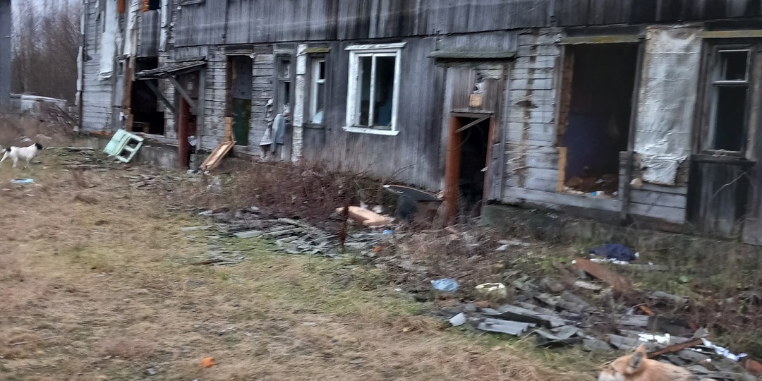 Две семьи в поселке Карелии живут в нечеловеческих условиях в разрушенном доме