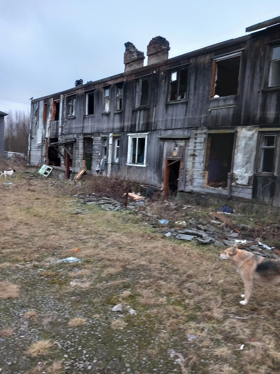    Галина Щербакова