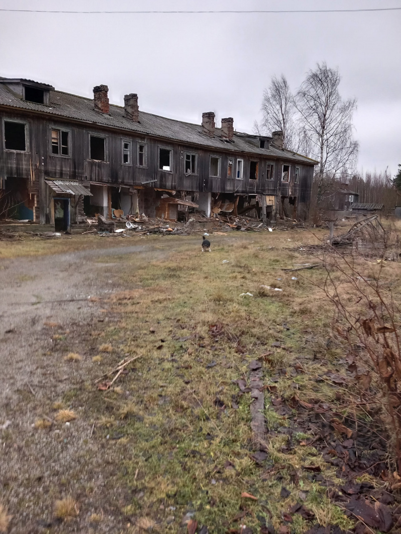    Две семьи в поселке Карелии живут в нечеловеческих условиях в разрушенном домеГалина Щербакова