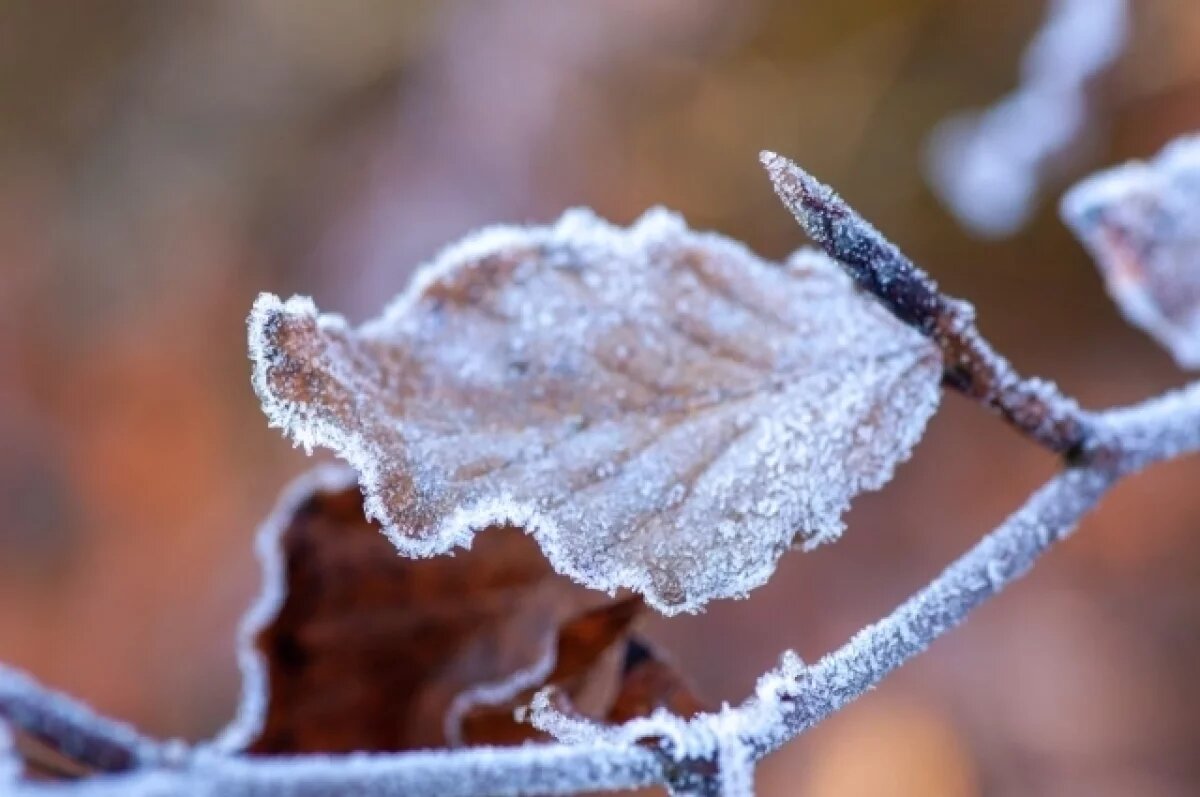    В ближайшую неделю Коми охватят аномальные морозы