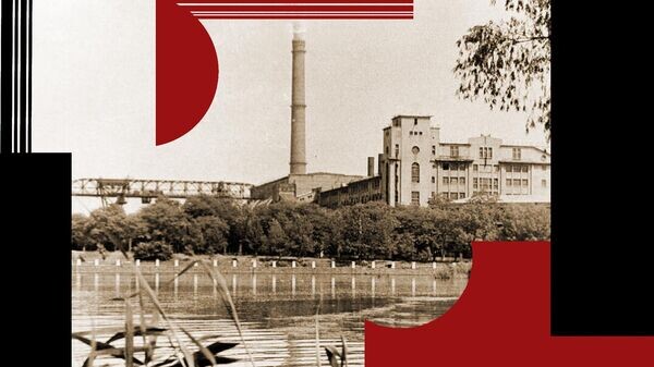    © Фото : соцсети