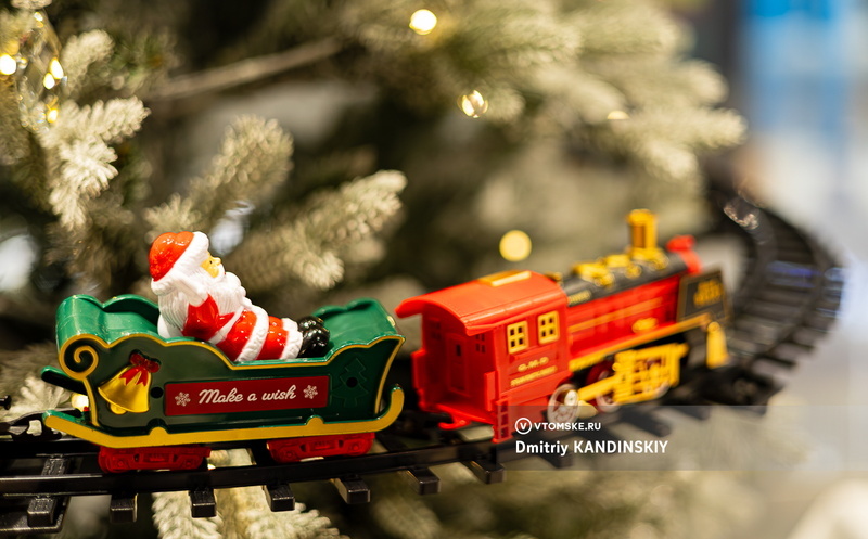    Фото: Дмитрий Кандинский / vtomske.ru