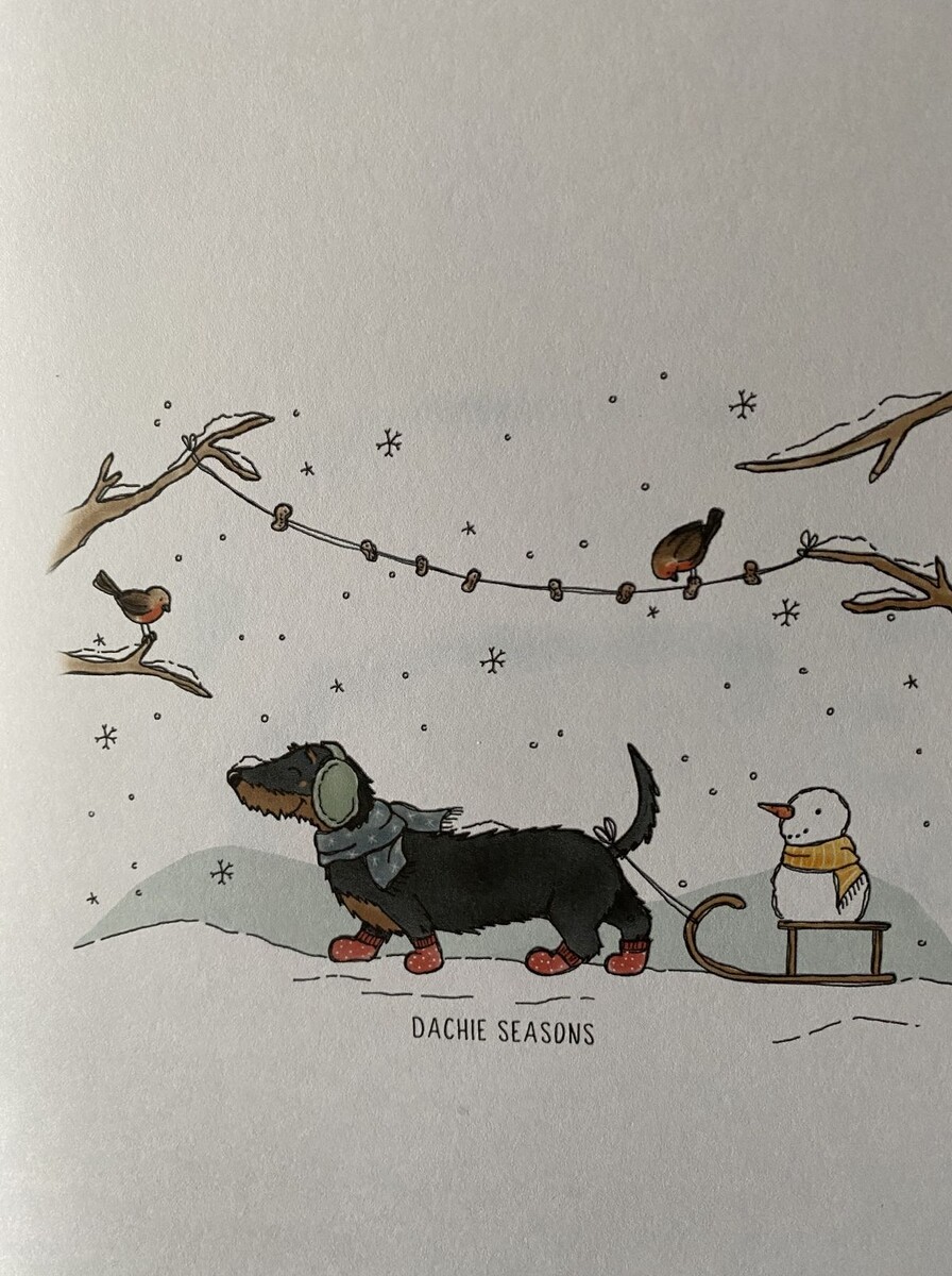 Изображение из открытого источника