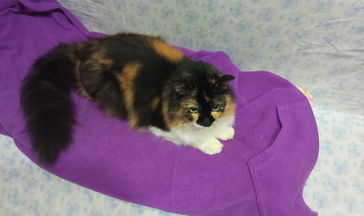 Катя любит мамину кофту 