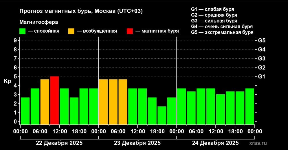    Скриншот 22-12-2025 080048