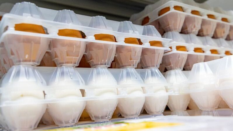    Фото: Андрей Ткачев / «Ямал-Медиа»