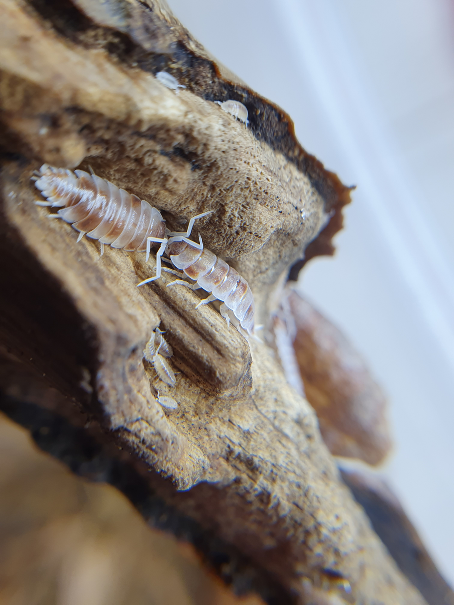 "Говори тише, а то дети услышат!"