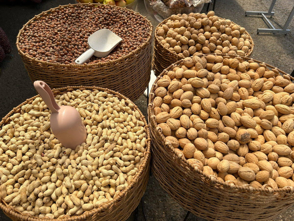    архив samaraonline24.ru