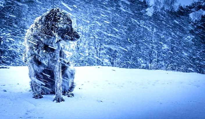 Ле-ттто, ты ггг-де?