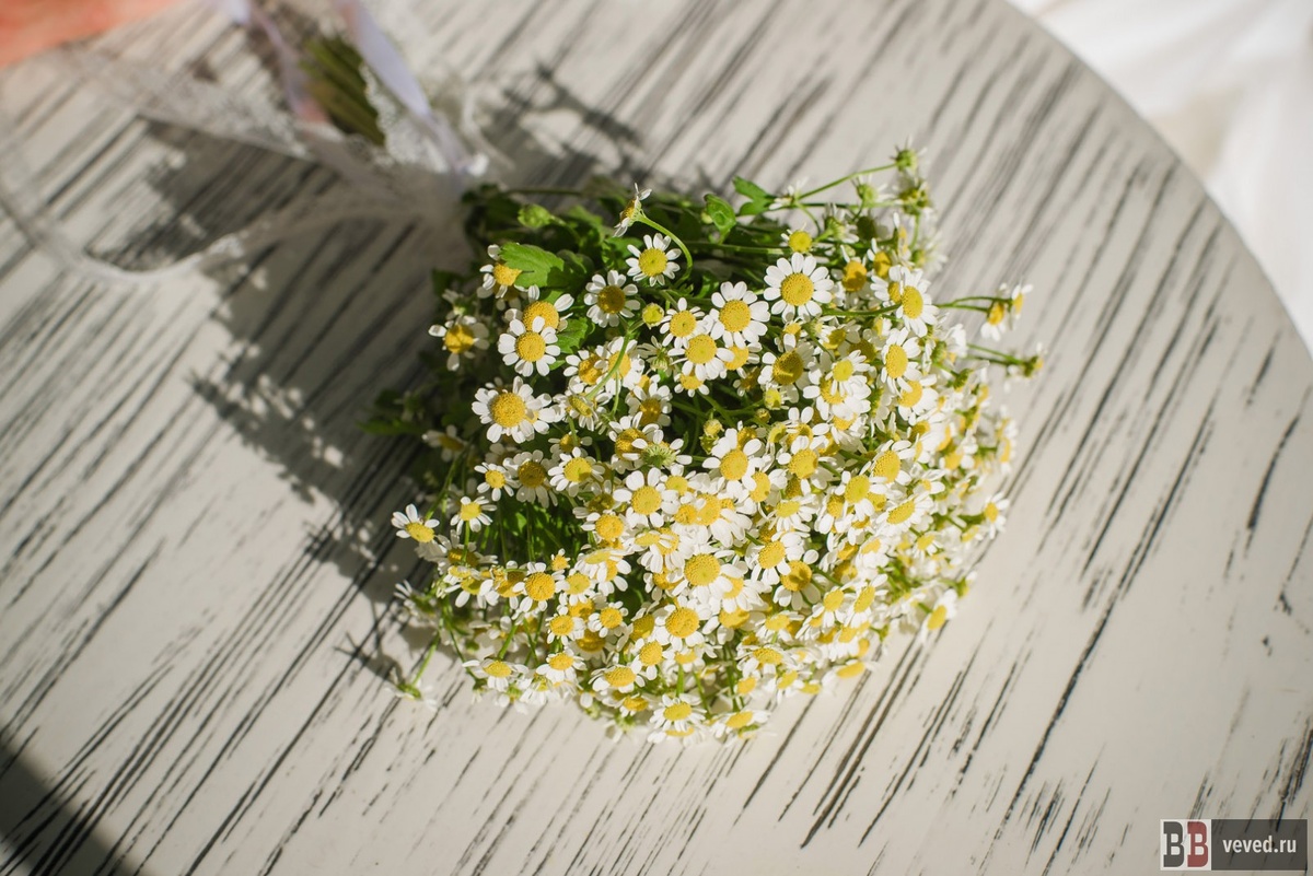     Фото: Вечерние ведомости