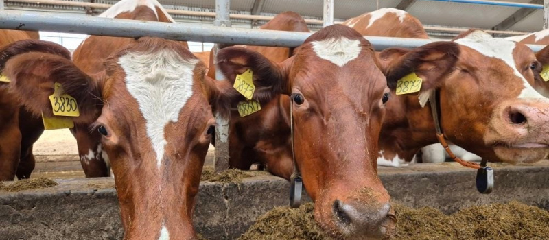    Минсельхоз Карелии