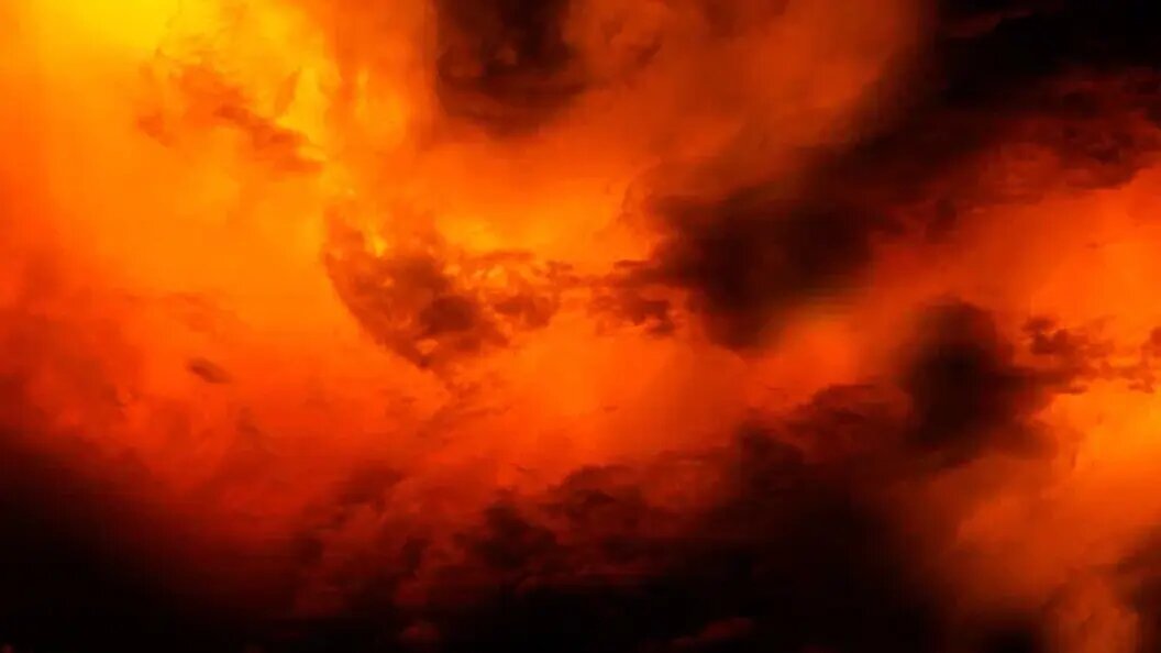    Фото: NatalyFox/shutterstock