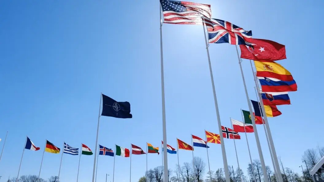    Alexandros Michailidis/shutterstock