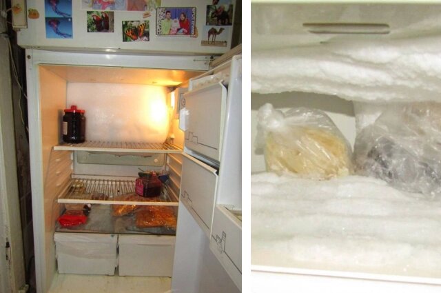    Практически пустой холодильник семьи. Фото: ГСУ СК по Красноярскому краю