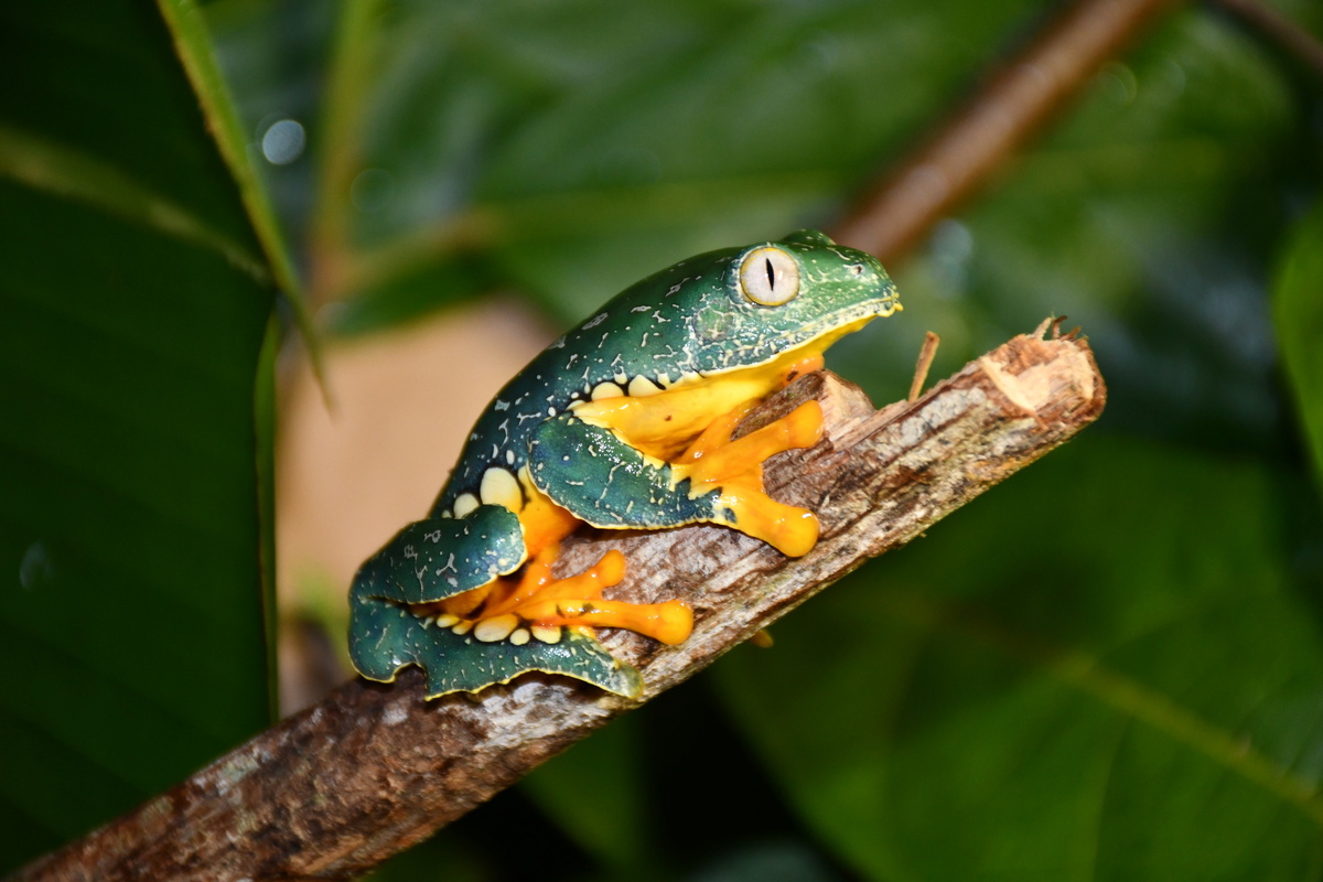 В эти глаза можно смотреть вечно, не правда ли? 👁️