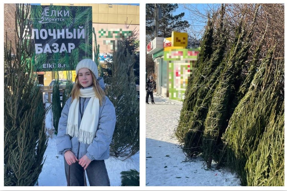    Корреспондент Дарья Минеева вышла в «рейд» на ближайший елочный базар. Фото: Дарья МИНЕЕВА.