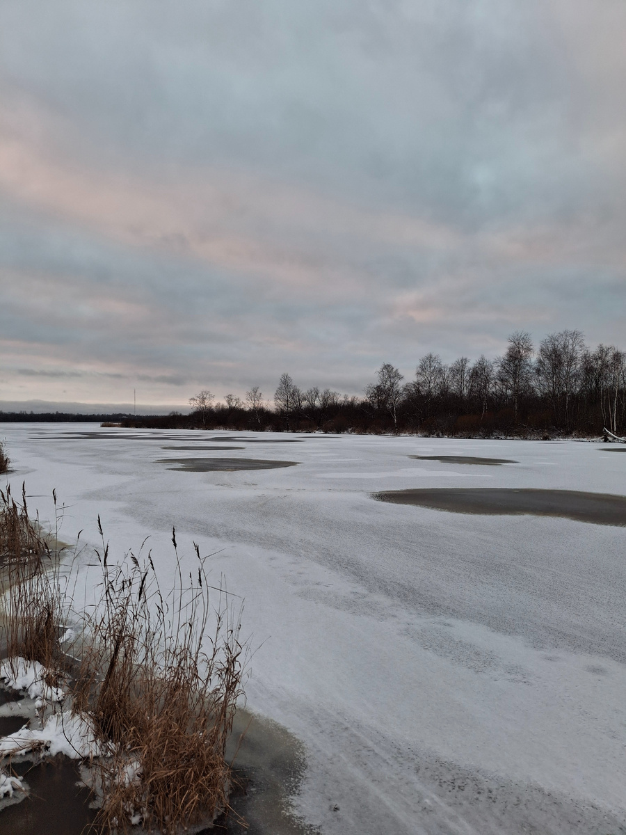 Фото автора. На реке Глухарке, Шуваловский пр.