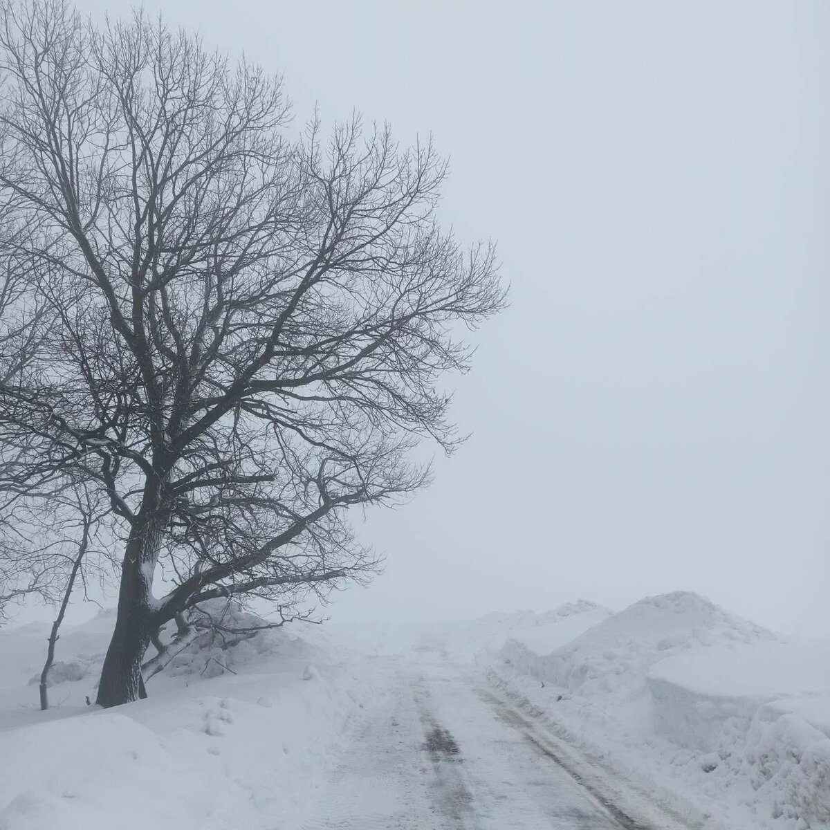 Фото: Самара-ГИС