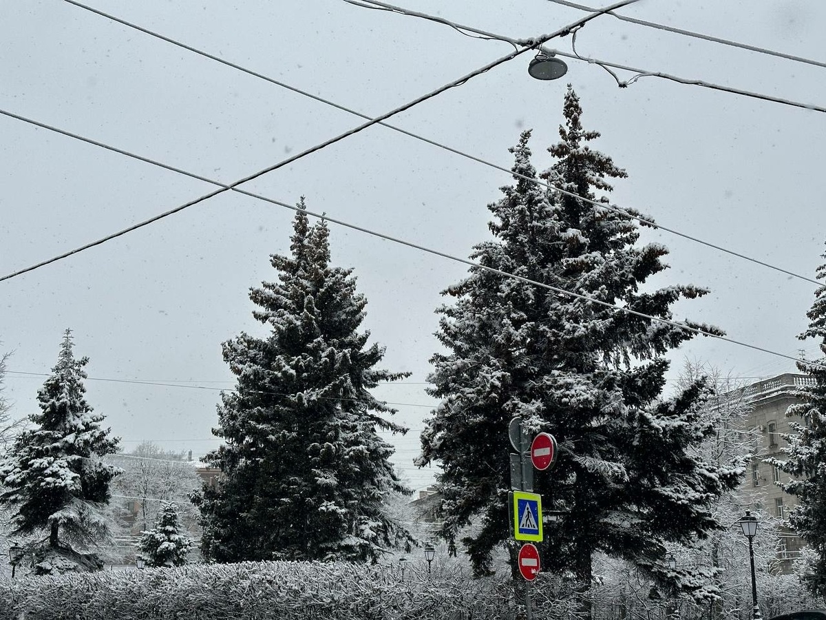     Фото: "Бриф24"