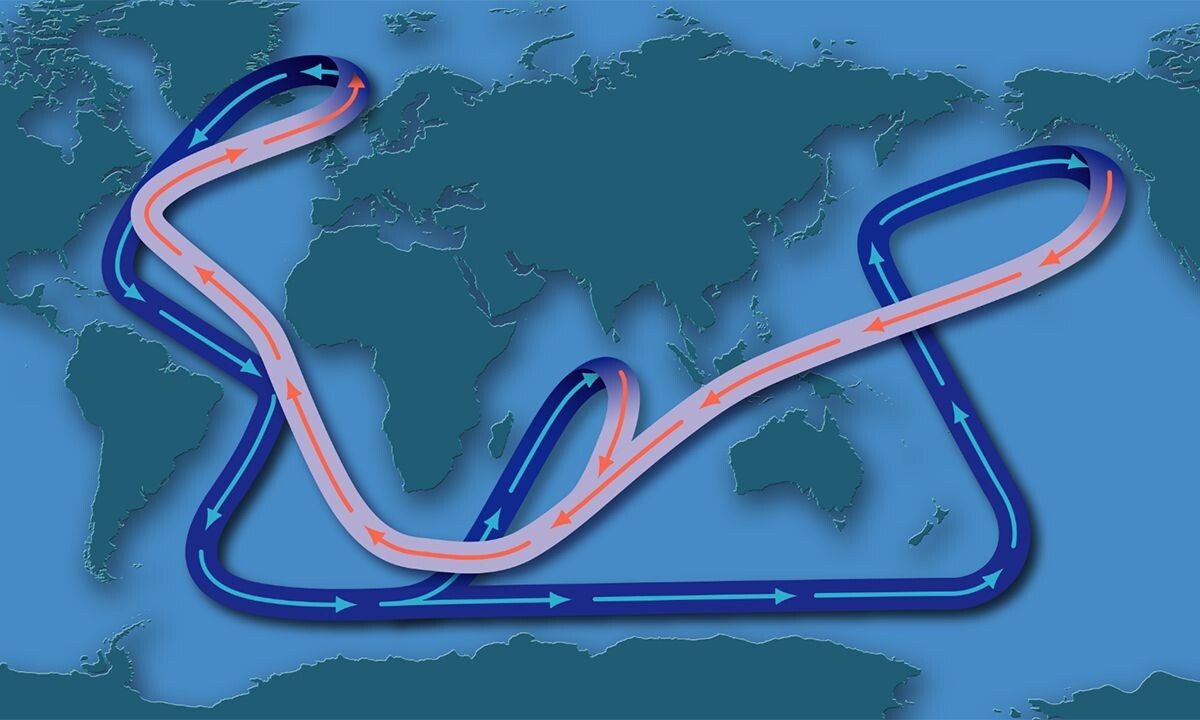 тепловой океанический конвейер, уникальной системе распределения тепла, играющей главную роль в формировании климата и экосистем нашей планеты. Источник фото - https://golnk.ru/Q9xeO