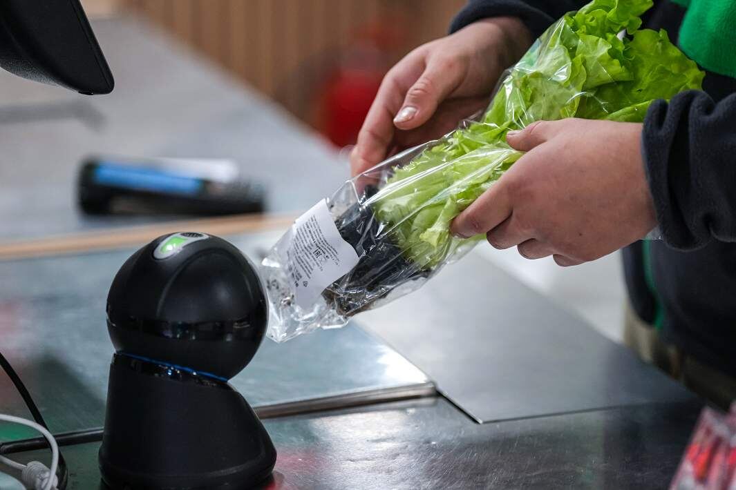 Фото: ИЗВЕСТИЯ/Дмитрий Коротаев