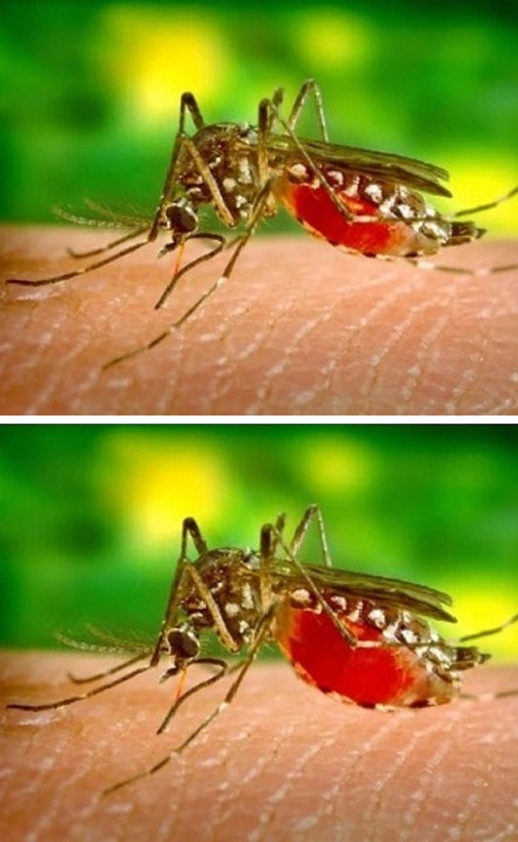 20 невероятных фотофактов, от которых глаза полезут на лоб