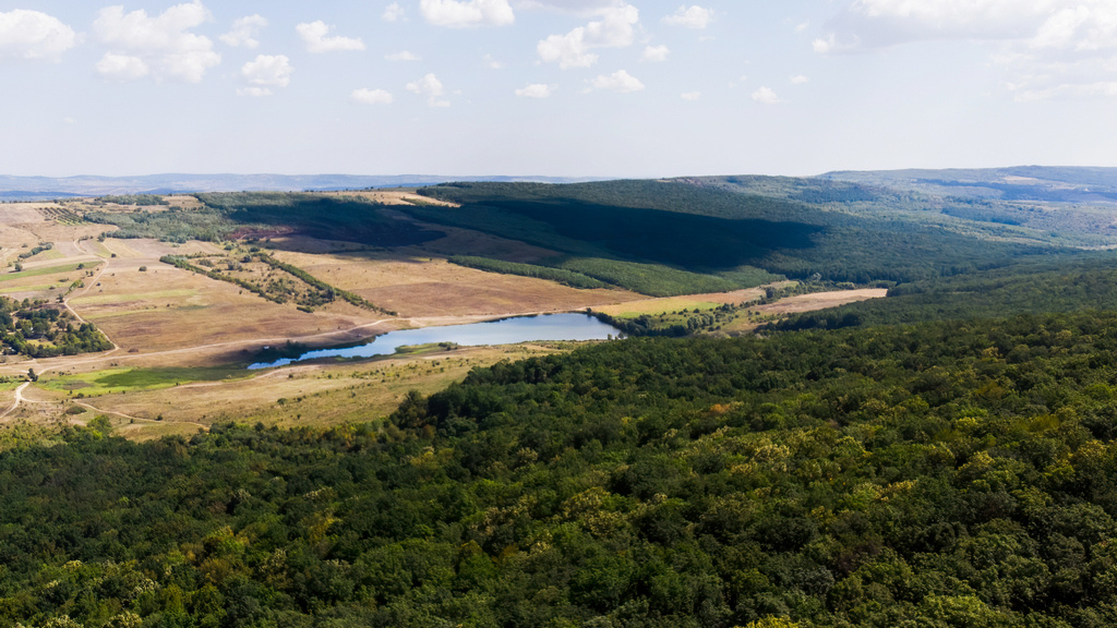 Фото: freepik.com