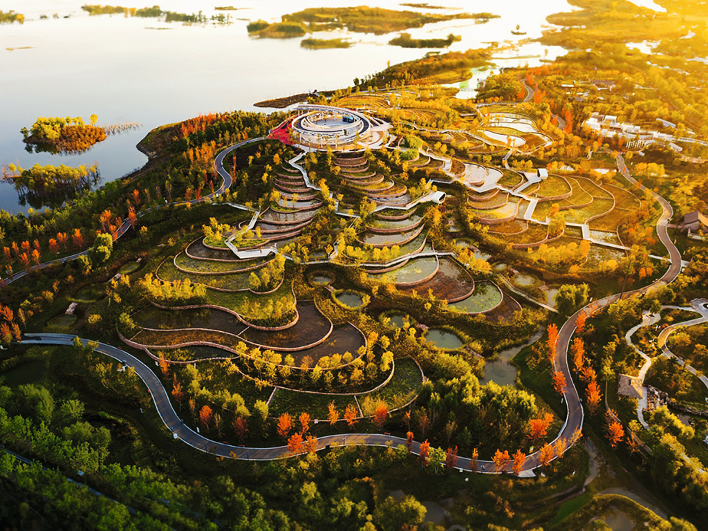 Ландшафтный парк с водно-болотными угодьями The Handan Wastewater Purification Terraces, Китай. Фото: Turenscape