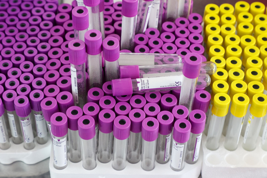    Наталья Шатохина/NEWS.ru