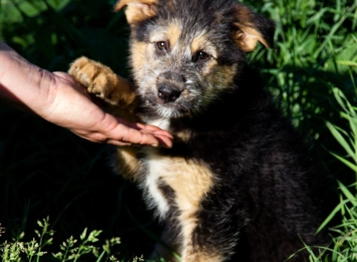 Их выкинули в сумке...