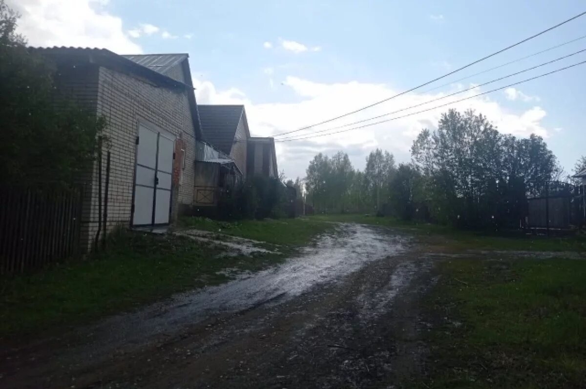    В Камешково суд обязал чиновников сделать дорогу к участкам многодетных