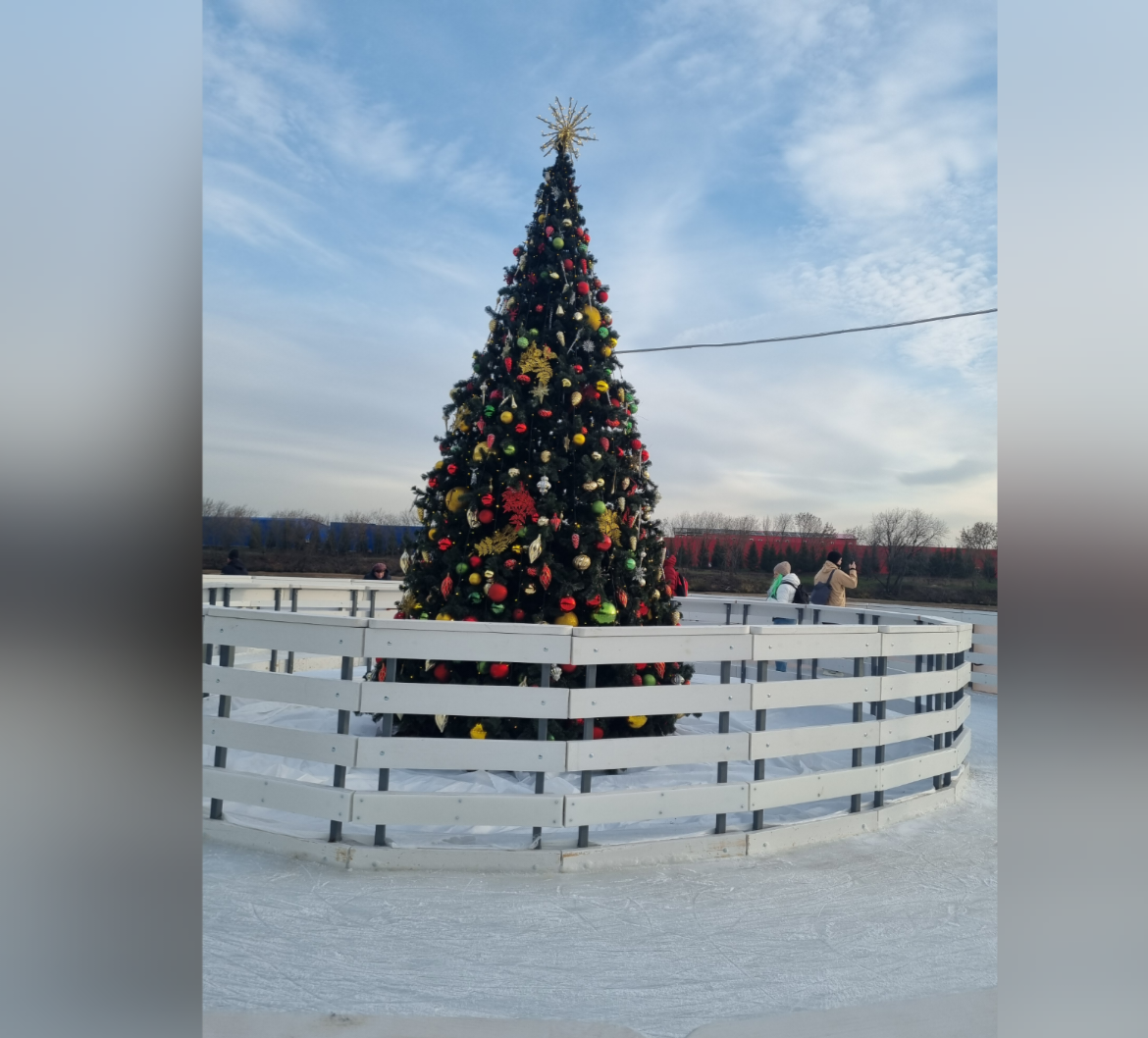 Елочки на катке 