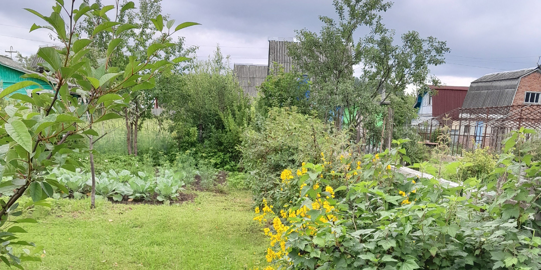 Глава 2. Забор сломали, а извиниться забыли