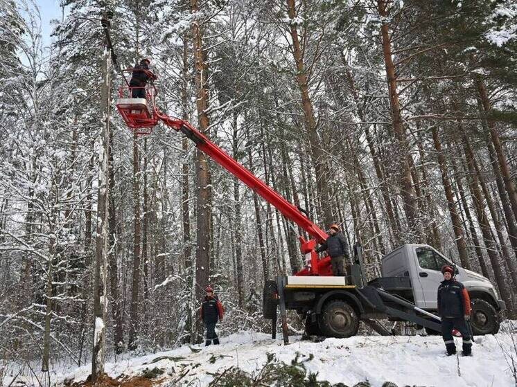     Фото: Владислав Шапша/ТГ