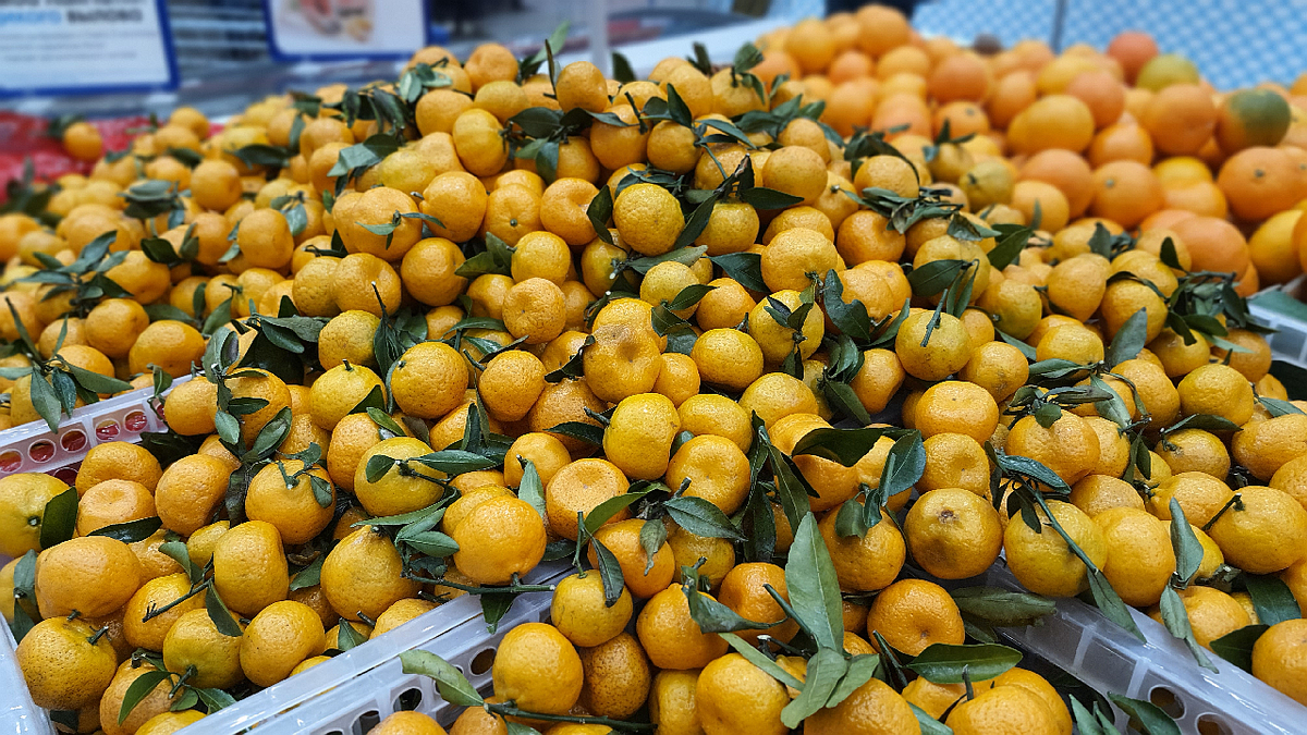 На днях сфотографировал на "развале".