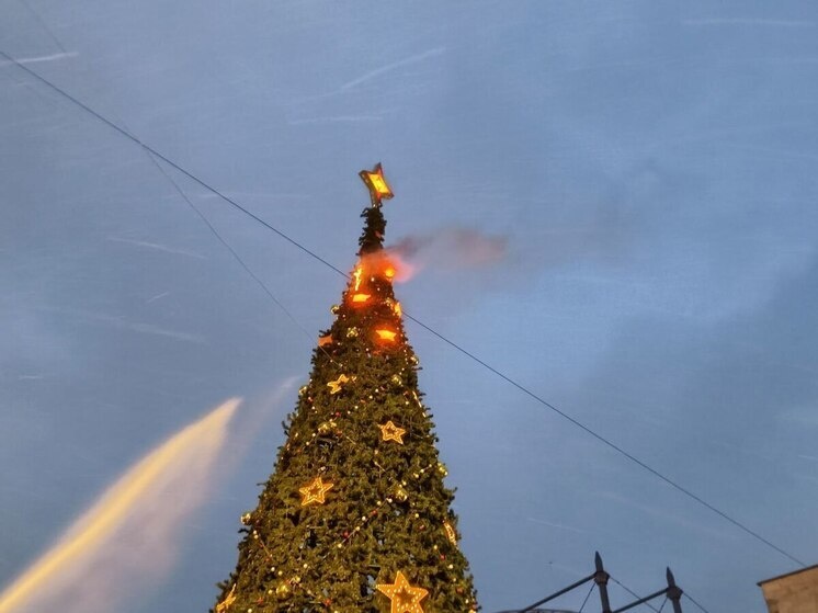     Фото: МК в Питере/Наталья Ефимова.