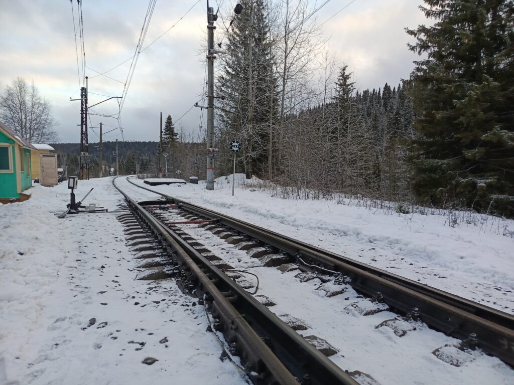    Фото: В курсе.ру Полина Анкушина