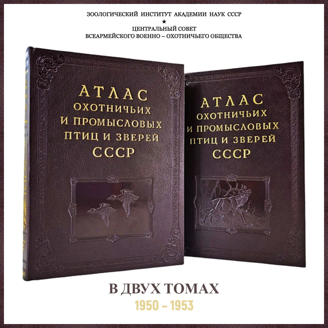 «Атлас охотничьих и промысловых птиц и зверей СССР»