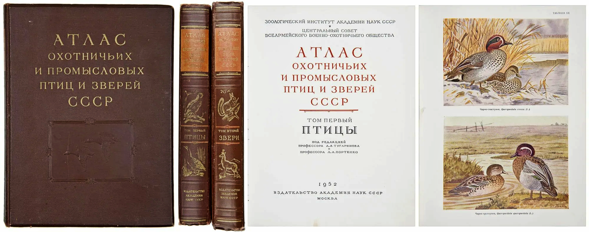«Атлас охотничьих и промысловых птиц и зверей СССР», оформление