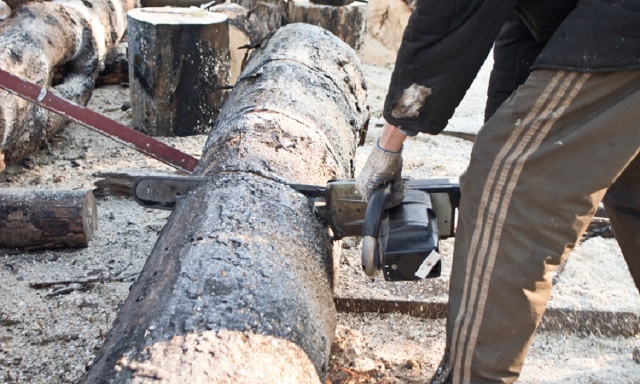 Кировских лесопользователей призывают к обязательной кадастровой регистрации участков