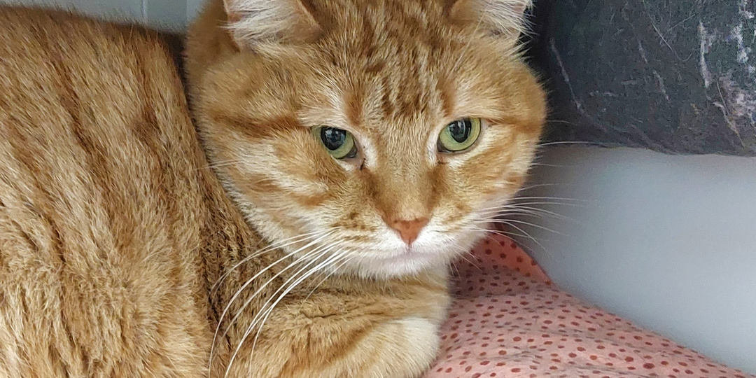 UPD ВАЛЕРА ДОМА🏡