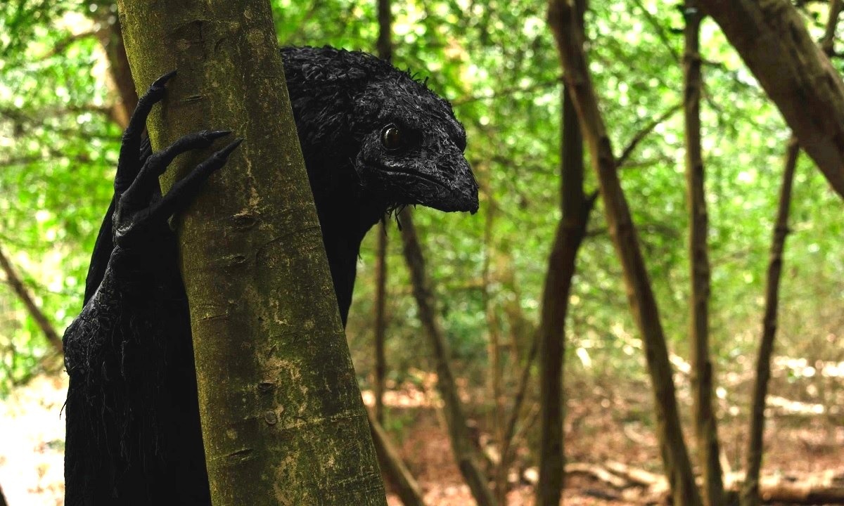 - Что, дети, кормушку для синичек сколотили и повесили? Молодцы. Только синички здесь больше не живут...