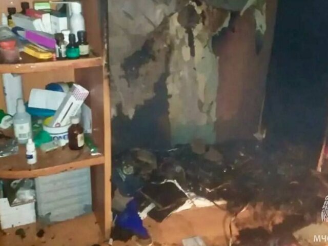    Фото: телеграм-канал "МЧС Удмуртии"