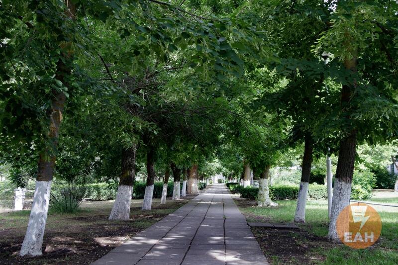    Фото ЕАН / Аллея