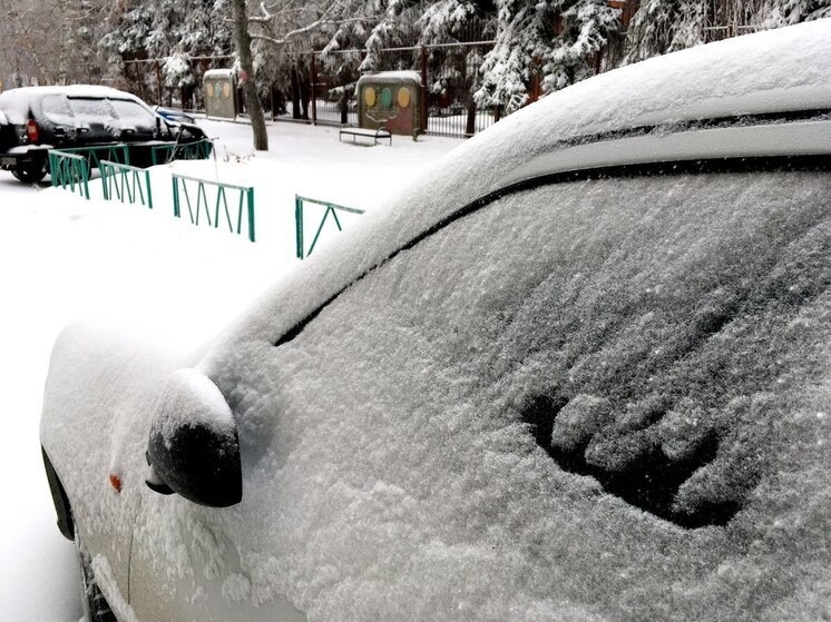     Фото: Сергей Климушев