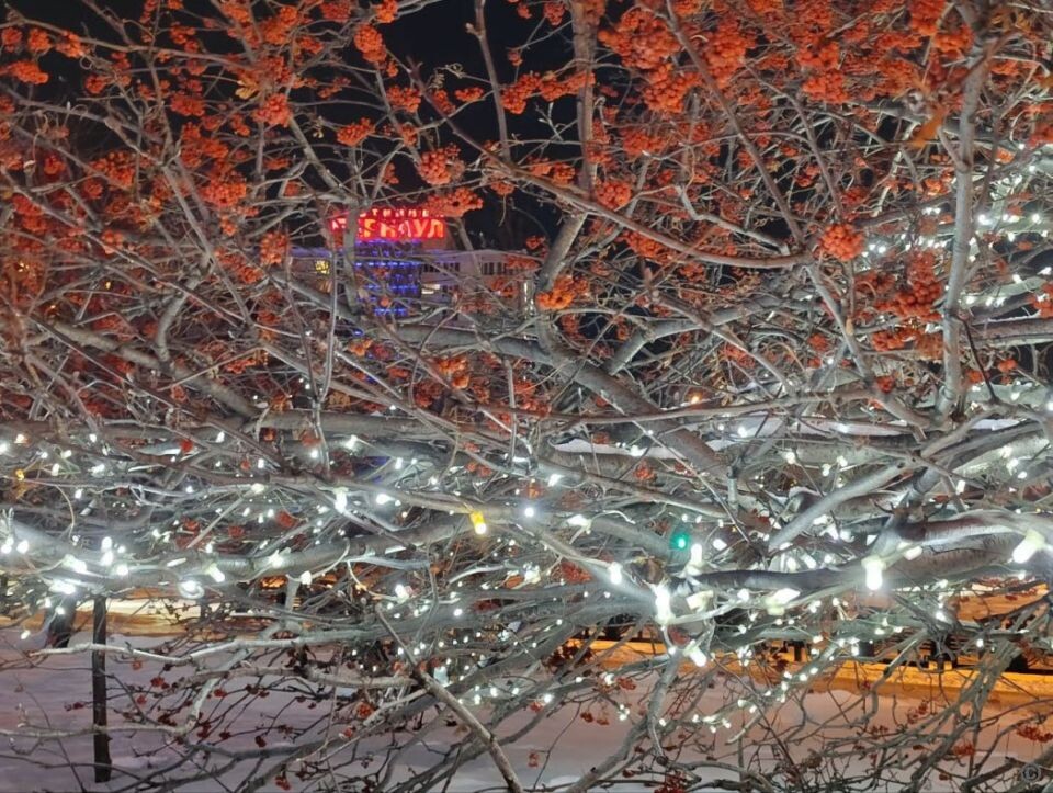    Железнодорожный район в декабре 2025 года. Источник: Barnaul.org