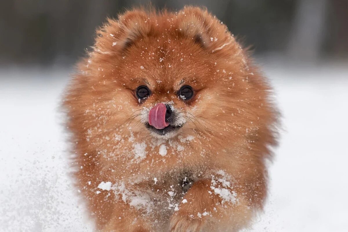    Фото freepik.com/