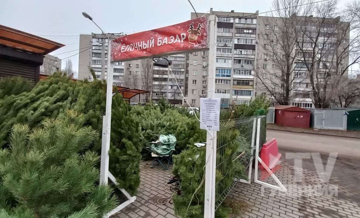     Фото предоставлены очевидцами