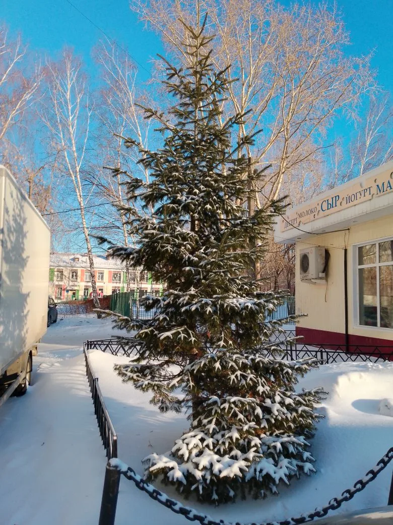 фото мужа. он, кстати, завёл новый блог. и никто его ещё не нашел. ))
